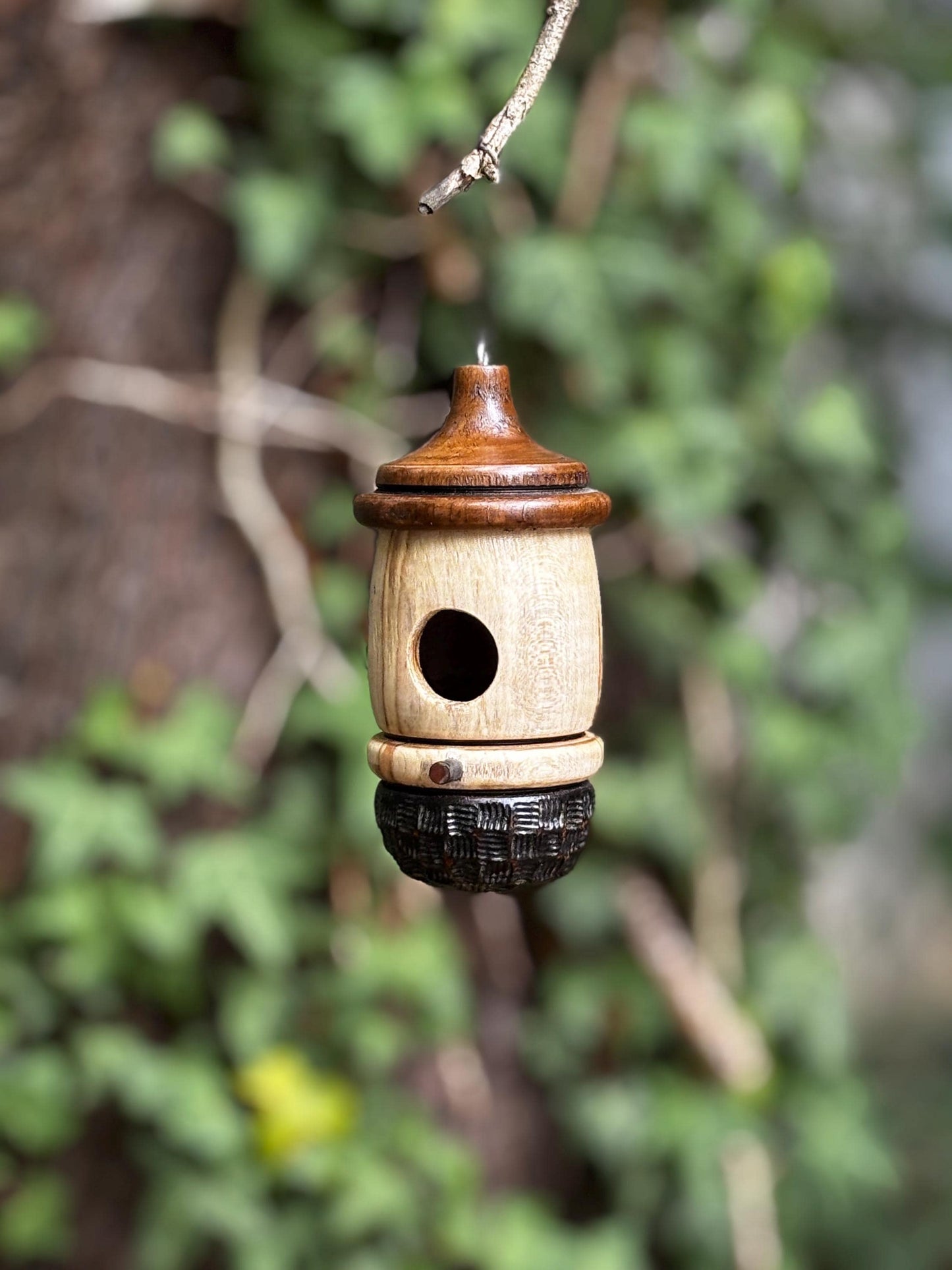 Hummingbird Birdhouse, Handmade Natural Ambrosia Maple One of a Kind