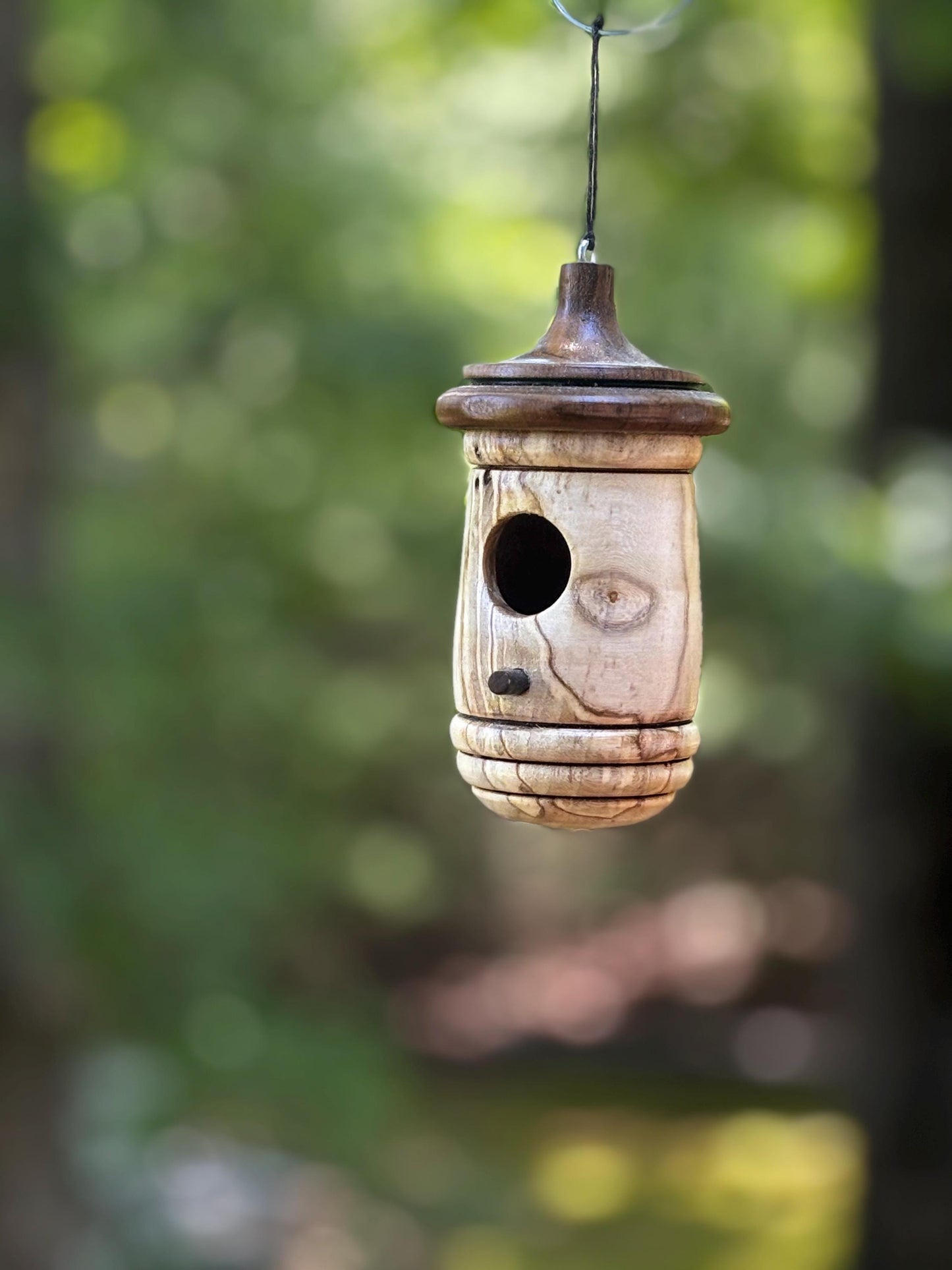 Ambrosia Maple Handmade Hummingbird Birdhouse, One of a Kind Gift for bird Lovers, Rustic Indoor/Outdoor Garden Decor