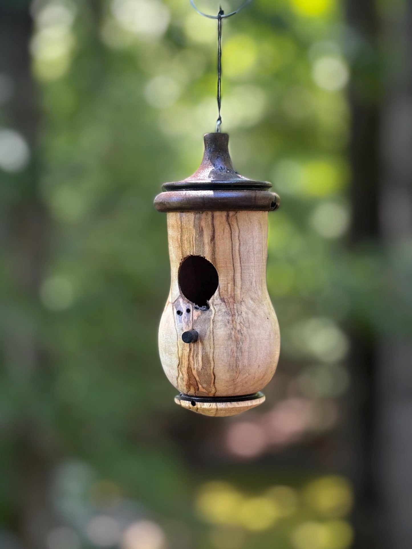 Ambrosia Maple Hummingbird Birdhouse, One of a Kind Gift for bird Lovers, Rustic Indoor/Outdoor Garden Decor
