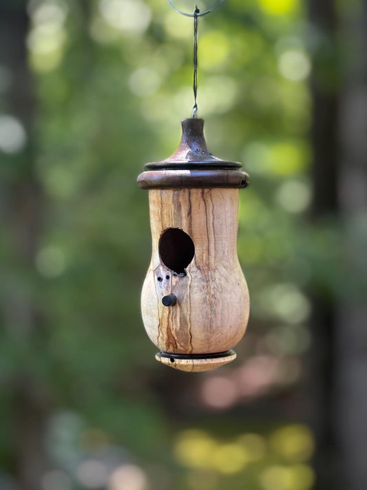Ambrosia Maple Hummingbird Birdhouse, One of a Kind Gift for bird Lovers, Rustic Indoor/Outdoor Garden Decor