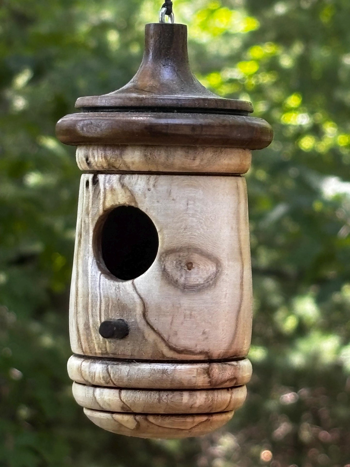 Ambrosia Maple Handmade Hummingbird Birdhouse, One of a Kind Gift for bird Lovers, Rustic Indoor/Outdoor Garden Decor