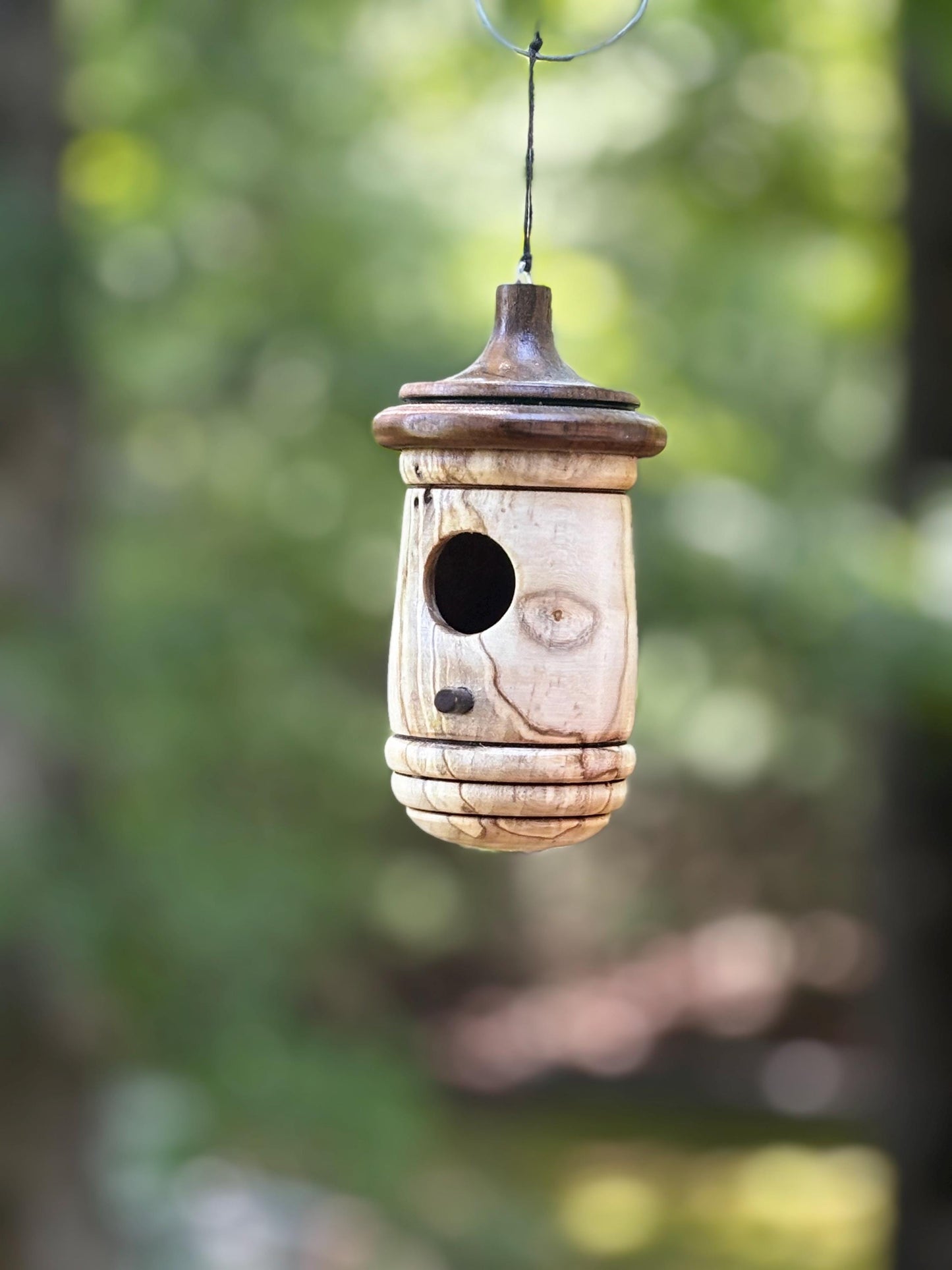 Ambrosia Maple Handmade Hummingbird Birdhouse, One of a Kind Gift for bird Lovers, Rustic Indoor/Outdoor Garden Decor